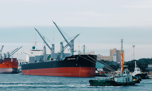 青島公司什么情況下需要辦理進出口權